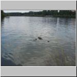 2010-07-04 - 13-59-12.JPG